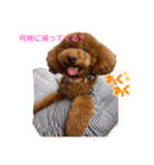 Angieの愛犬フランSTAMPS（個別スタンプ：4）
