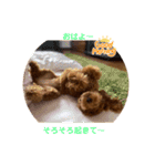Angieの愛犬フランSTAMPS（個別スタンプ：5）