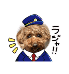 トイプードルのおとちゃん（個別スタンプ：39）