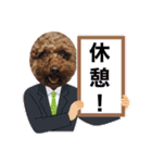 トイプードルのおとちゃん（個別スタンプ：40）
