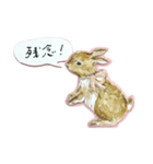 利光春華 うさぎの物語 vol.01 スタンプ（個別スタンプ：11）