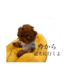 プティくんのかわちいスタンプ（個別スタンプ：3）