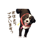 ポルちゃん Bernese Mountain Dog（個別スタンプ：3）