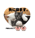 石川のんたん（個別スタンプ：9）
