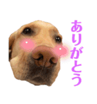 にきお。（個別スタンプ：5）
