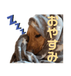 にきお。（個別スタンプ：7）