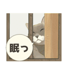 夏やで！毎日使えるで☆関西モフ猫連合（個別スタンプ：3）