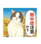 夏やで！毎日使えるで☆関西モフ猫連合（個別スタンプ：8）