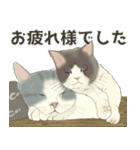 夏やで！毎日使えるで☆関西モフ猫連合（個別スタンプ：12）