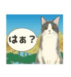 夏やで！毎日使えるで☆関西モフ猫連合（個別スタンプ：13）