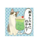 夏やで！毎日使えるで☆関西モフ猫連合（個別スタンプ：21）