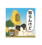 夏やで！毎日使えるで☆関西モフ猫連合（個別スタンプ：22）