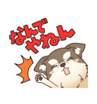 夜の獣医師ゆってぃー先生の獣医スタンプ（個別スタンプ：11）