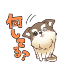夜の獣医師ゆってぃー先生の獣医スタンプ（個別スタンプ：12）