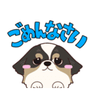 夜の獣医師ゆってぃー先生の獣医スタンプ（個別スタンプ：13）