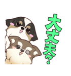 夜の獣医師ゆってぃー先生の獣医スタンプ（個別スタンプ：15）
