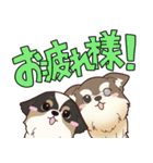 夜の獣医師ゆってぃー先生の獣医スタンプ（個別スタンプ：16）