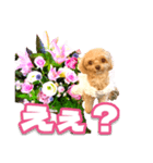 トイプーティナちゃん10お花とデカ文字編（個別スタンプ：9）