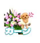 トイプーティナちゃん10お花とデカ文字編（個別スタンプ：10）