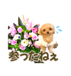 トイプーティナちゃん10お花とデカ文字編（個別スタンプ：22）