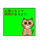 猫の種類 パート1（個別スタンプ：2）