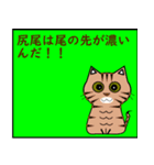 猫の種類 パート1（個別スタンプ：5）