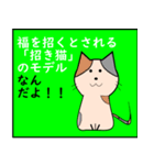 猫の種類 パート1（個別スタンプ：10）