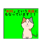 猫の種類 パート1（個別スタンプ：12）