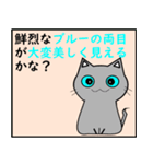 猫の種類 パート1（個別スタンプ：17）