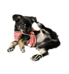 ちゃこて②（個別スタンプ：3）