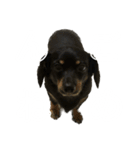 ちゃこて②（個別スタンプ：9）