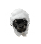 ちゃこて②（個別スタンプ：16）