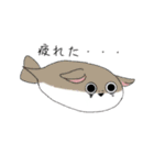 ○○バンバスピス（個別スタンプ：13）