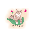 色鉛筆の素描の猫達・（個別スタンプ：4）