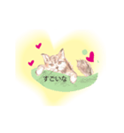 色鉛筆の素描の猫達・（個別スタンプ：7）