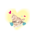 色鉛筆の素描の猫達・（個別スタンプ：8）