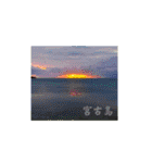 宮古島LOVE（個別スタンプ：5）