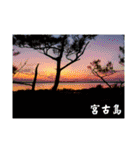 宮古島LOVE（個別スタンプ：12）