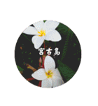 宮古島LOVE（個別スタンプ：15）