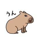 動く！キモい動物達（個別スタンプ：5）