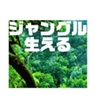 【 笑 草 大草原 森林 ジャングル 】（個別スタンプ：1）