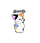 ハッピーキャットのかわいいスタンプ（個別スタンプ：13）
