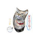あんずちゃん其の10（個別スタンプ：2）