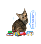あんずちゃん其の10（個別スタンプ：6）