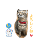 あんずちゃん其の10（個別スタンプ：12）