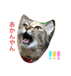 あんずちゃん其の10（個別スタンプ：15）