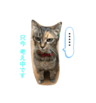 あんずちゃん其の10（個別スタンプ：16）