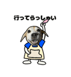 ビーグル犬ポップアップスタンプ(夏)（個別スタンプ：5）