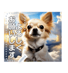 【犬】神々しいチワワ（個別スタンプ：4）