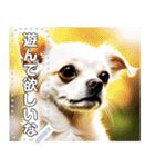 【犬】神々しいチワワ（個別スタンプ：5）